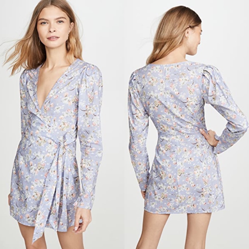 NWT WeWoreWhat Blanca Dress Dry Flowers